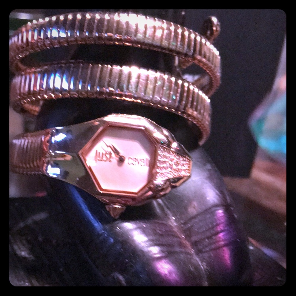 Roberto Cavalli snake watch in rose gold(sold out)